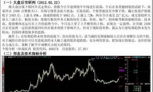 个股分析报告范文模板(个股分析步骤)_https://www.haiwangdasha.com_广期所_第1张