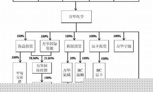 算力并购重组案例分析(宝钢武钢并购重组案例分析)_https://www.haiwangdasha.com_大商所_第1张