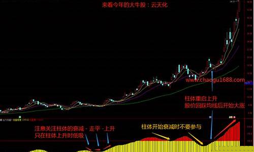 主力控盘度多少最好(主力控盘比例多少才会拉升)_https://www.haiwangdasha.com_上交所_第1张