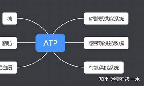 ctp能直接供能吗(ctp属于高能化合物吗)_https://www.haiwangdasha.com_上交所_第1张