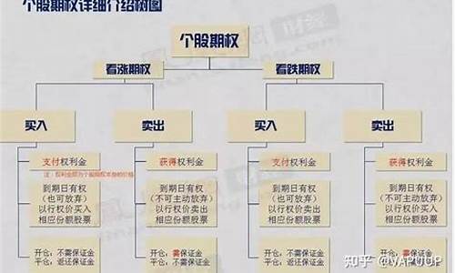 个股期权开户流程(个股期权是什么意思)_https://www.haiwangdasha.com_上交所_第1张