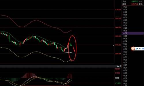 沪金期货行情走势(沪期金今日价格)_https://www.haiwangdasha.com_上交所_第1张