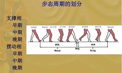 步行周期分为站立和摆动(步行周期分为站立和摆动和什么)_https://www.haiwangdasha.com_科创板_第1张