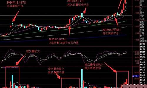 小白怎样学炒股(小白怎样学炒股技巧)_https://www.haiwangdasha.com_北交所_第1张