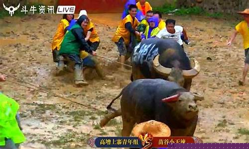 恒指斗牛直播室(斗牛财经直播间)_https://www.haiwangdasha.com_上交所_第1张