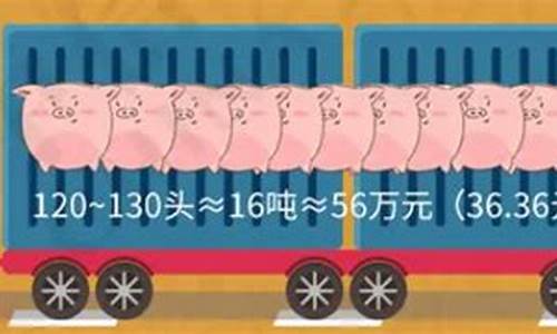 生猪期货2403合约为什么低(生猪期货2109合约最后交易日)_https://www.haiwangdasha.com_创业板_第1张