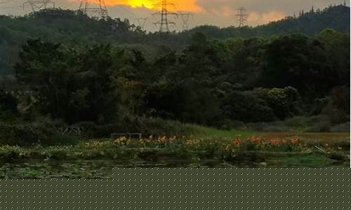 光亮财经直播(光亮财经直播在线观看)_https://www.haiwangdasha.com_上交所_第1张