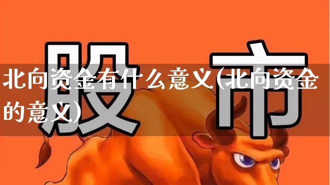 北向资金有什么意义(北向资金的意义)_https://www.haiwangdasha.com_北交所_第1张