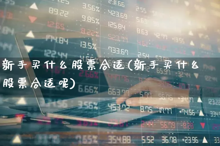 新手买什么股票合适(新手买什么股票合适呢)_https://www.haiwangdasha.com_北交所_第1张