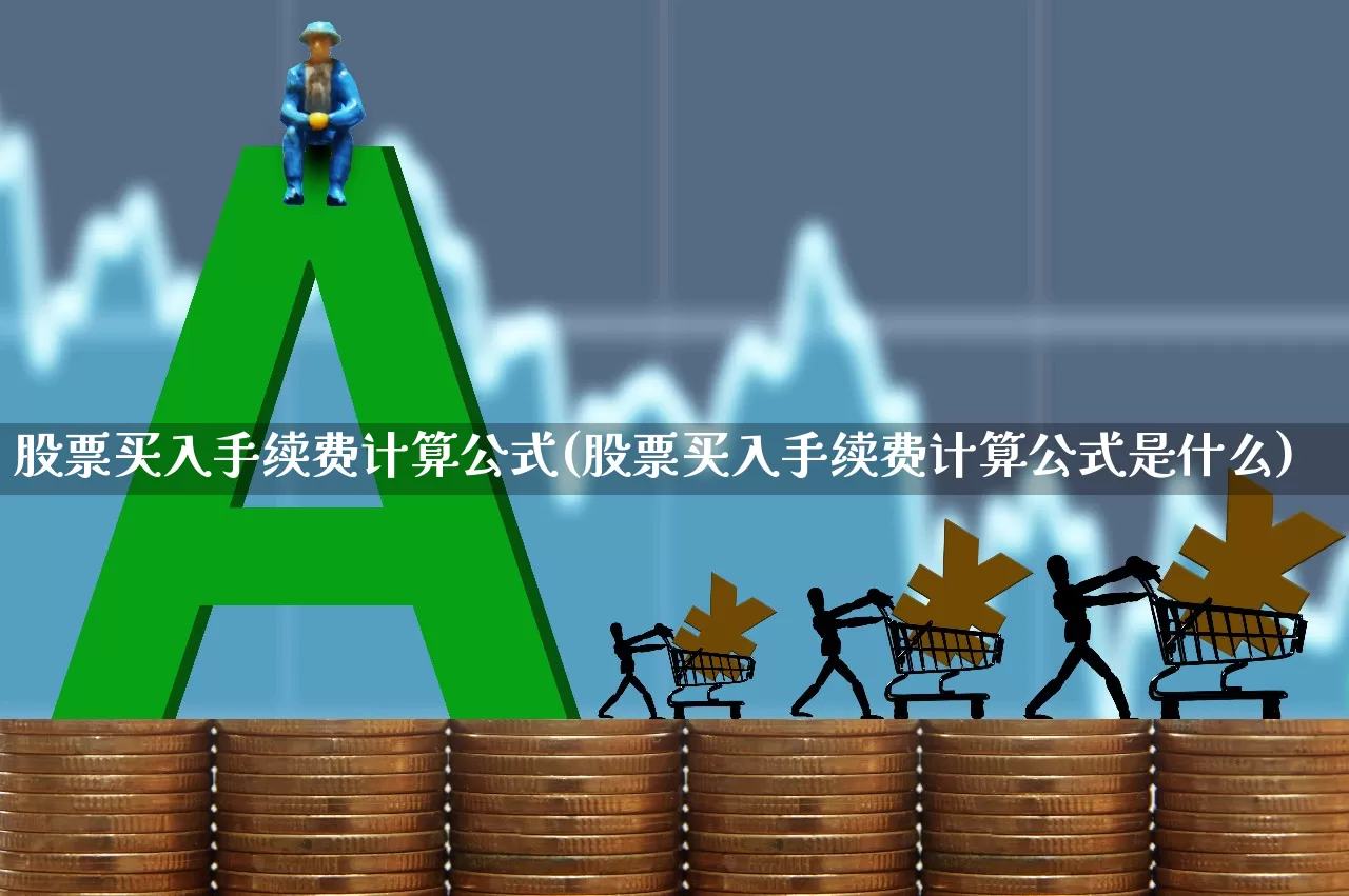股票买入手续费计算公式(股票买入手续费计算公式是什么)_https://www.haiwangdasha.com_北交所_第1张