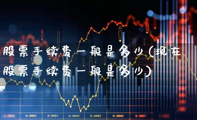 股票手续费一般是多少(现在股票手续费一般是多少)_https://www.haiwangdasha.com_深交所_第1张