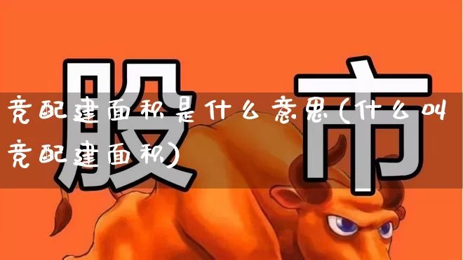 竞配建面积是什么意思(什么叫竞配建面积)_https://www.haiwangdasha.com_深交所_第1张