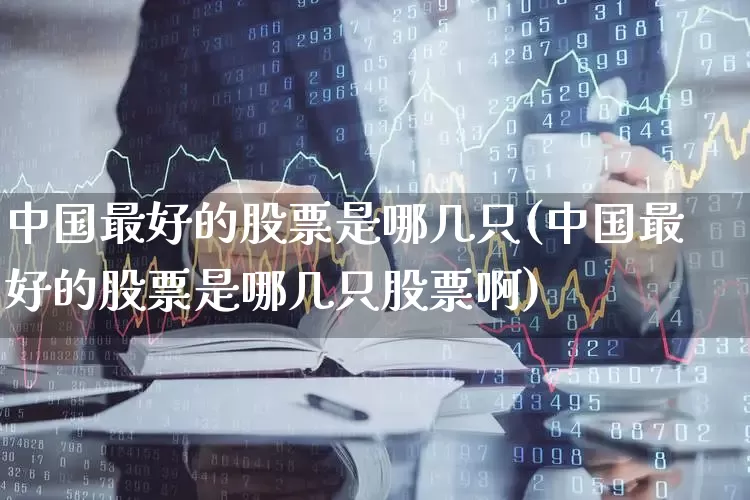 中国最好的股票是哪几只(中国最好的股票是哪几只股票啊)_https://www.haiwangdasha.com_深交所_第1张