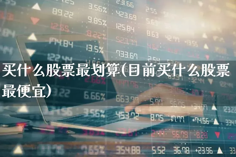 买什么股票最划算(目前买什么股票最便宜)_https://www.haiwangdasha.com_北交所_第1张