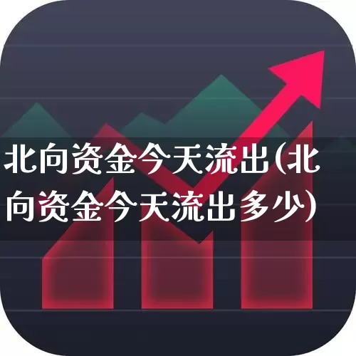 北向资金今天流出(北向资金今天流出多少)_https://www.haiwangdasha.com_北交所_第1张