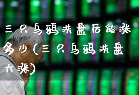三只乌鸦洗盘后能涨多少(三只乌鸦洗盘大涨)_https://www.haiwangdasha.com_北交所_第1张