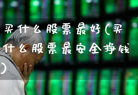 买什么股票最好(买什么股票最安全挣钱)_https://www.haiwangdasha.com_科创板_第1张