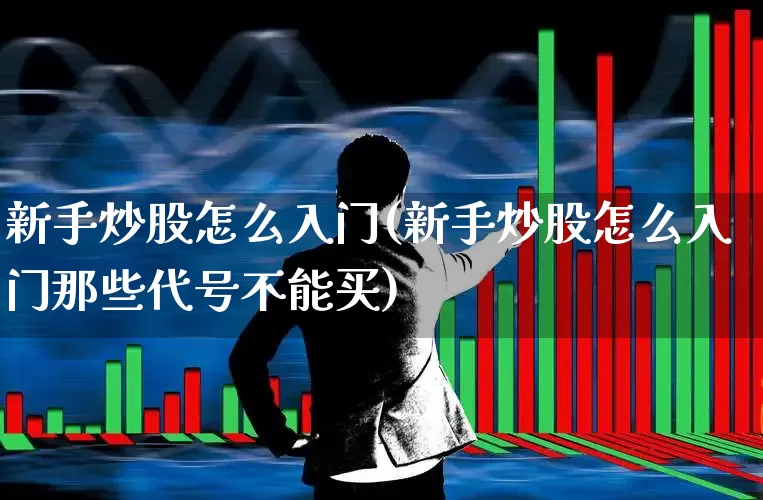 新手炒股怎么入门(新手炒股怎么入门那些代号不能买)_https://www.haiwangdasha.com_深交所_第1张