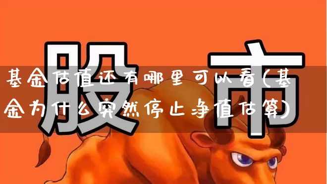 基金估值还有哪里可以看(基金为什么突然停止净值估算)_https://www.haiwangdasha.com_深交所_第1张