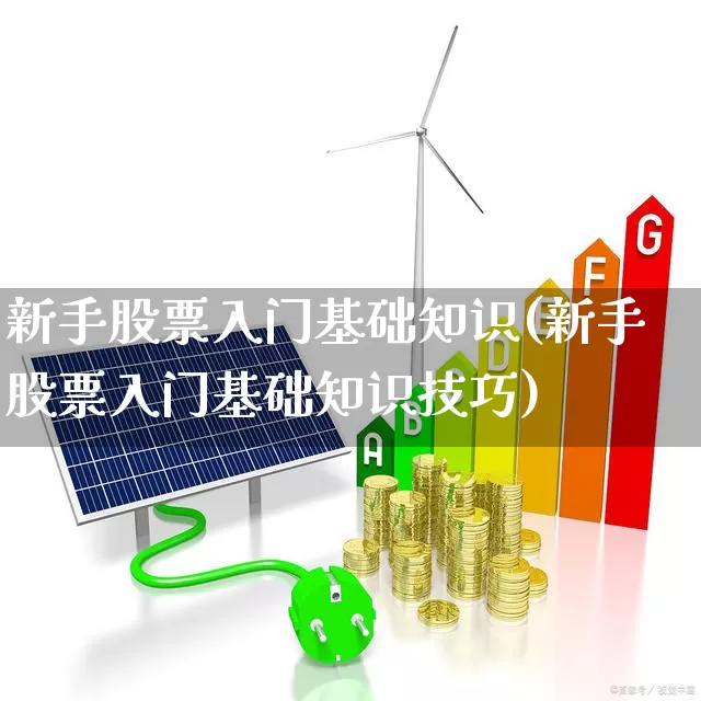 新手股票入门基础知识(新手股票入门基础知识技巧)_https://www.haiwangdasha.com_上交所_第1张