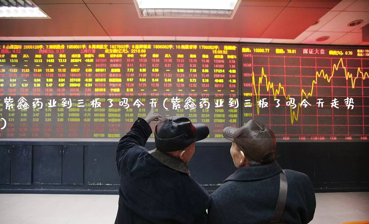 紫鑫药业到三板了吗今天(紫鑫药业到三板了吗今天走势)_https://www.haiwangdasha.com_深交所_第1张