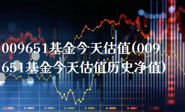 009651基金今天估值(009651基金今天估值历史净值)_https://www.haiwangdasha.com_创业板_第1张