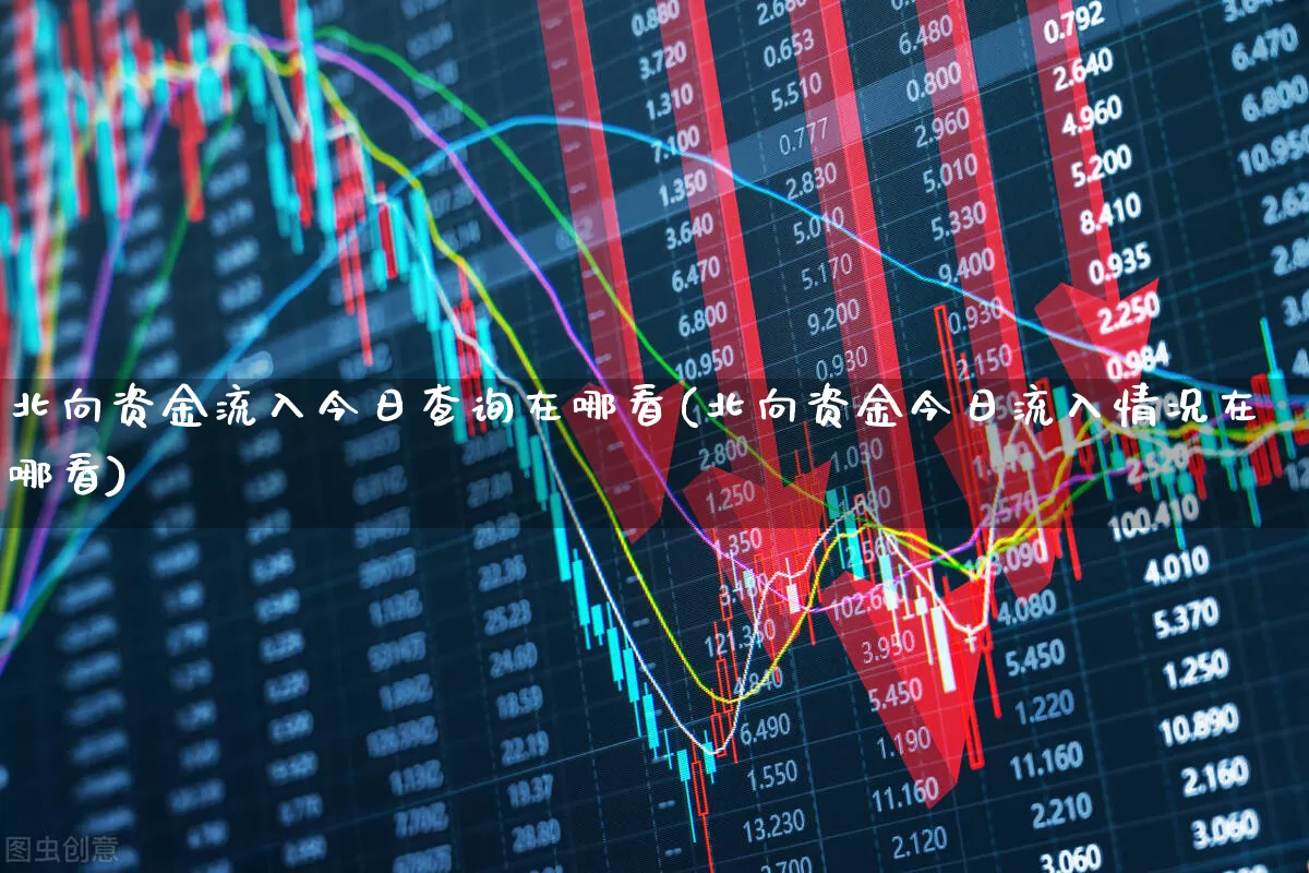 北向资金流入今日查询在哪看(北向资金今日流入情况在哪看)_https://www.haiwangdasha.com_北交所_第1张