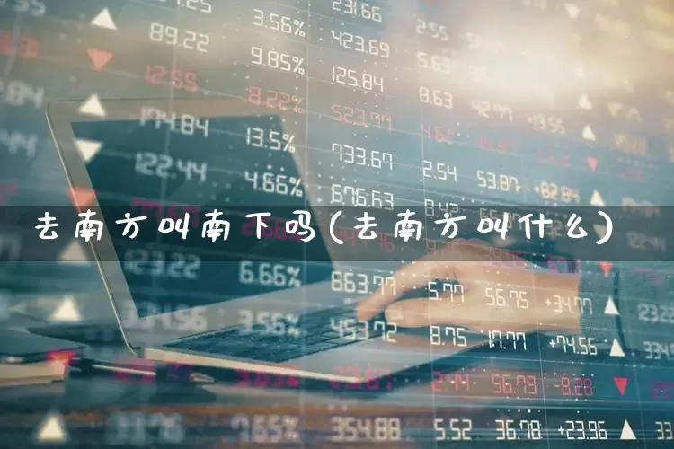 去南方叫南下吗(去南方叫什么)_https://www.haiwangdasha.com_上交所_第1张
