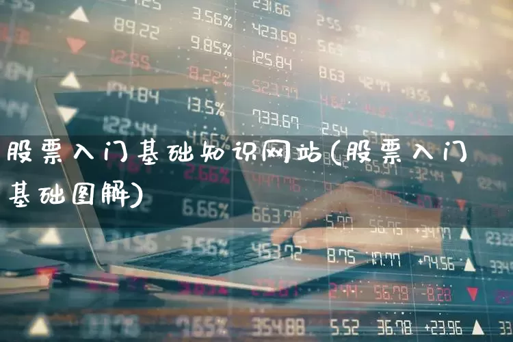 股票入门基础知识网站(股票入门基础图解)_https://www.haiwangdasha.com_科创板_第1张