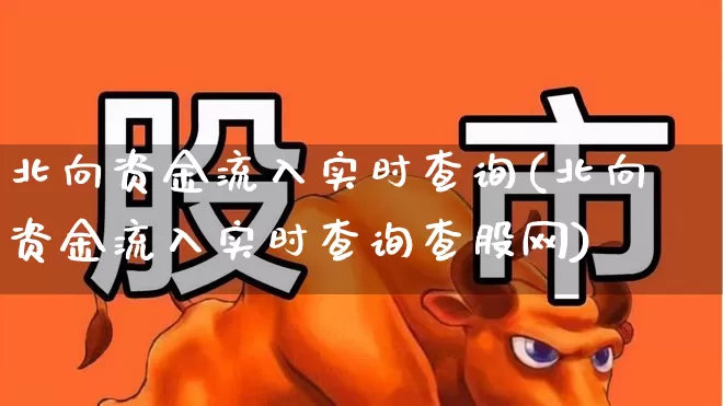 北向资金流入实时查询(北向资金流入实时查询查股网)_https://www.haiwangdasha.com_北交所_第1张