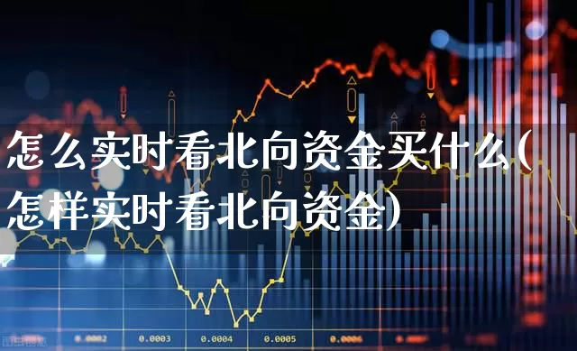 怎么实时看北向资金买什么(怎样实时看北向资金)_https://www.haiwangdasha.com_北交所_第1张