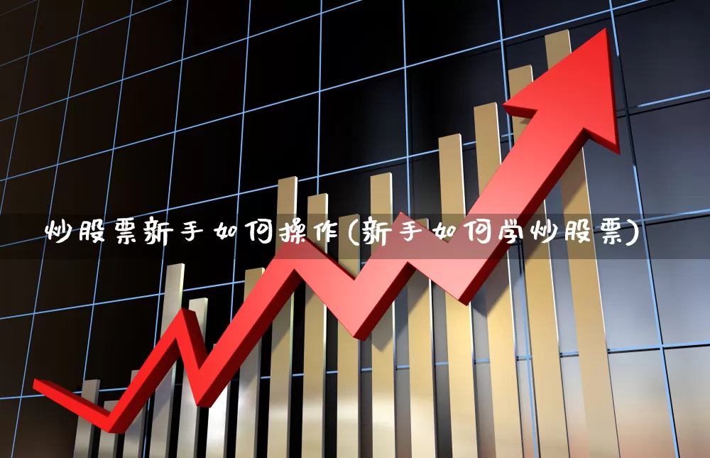 炒股票新手如何操作(新手如何学炒股票)_https://www.haiwangdasha.com_科创板_第1张