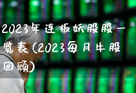 2023年连板妖股股一览表(2023每月牛股回顾)_https://www.haiwangdasha.com_创业板_第1张