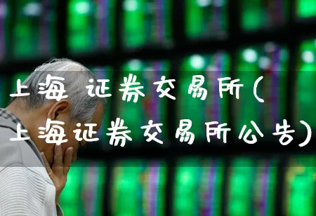 上海 证券交易所(上海证券交易所公告)_https://www.haiwangdasha.com_创业板_第1张