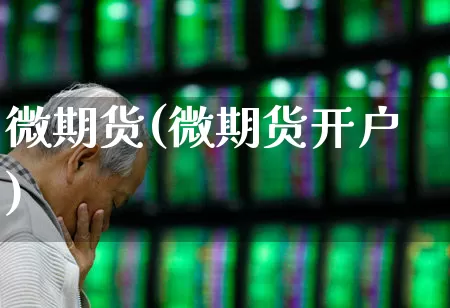 微期货(微期货开户)_https://www.haiwangdasha.com_郑商所_第1张