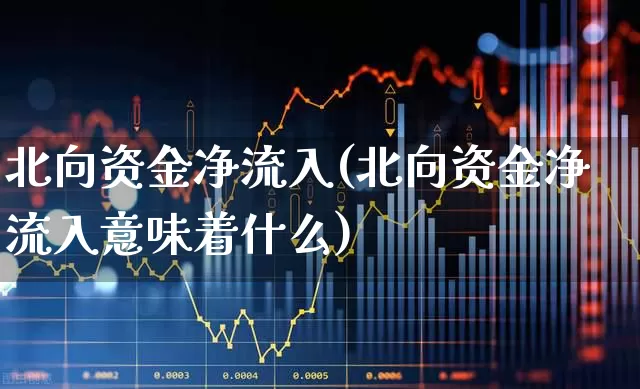北向资金净流入(北向资金净流入意味着什么)_https://www.haiwangdasha.com_上交所_第1张
