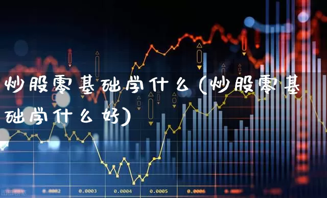 炒股零基础学什么(炒股零基础学什么好)_https://www.haiwangdasha.com_深交所_第1张