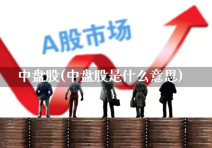 中盘股(中盘股是什么意思)_https://www.haiwangdasha.com_科创板_第1张