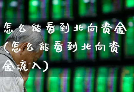 怎么能看到北向资金(怎么能看到北向资金流入)_https://www.haiwangdasha.com_创业板_第1张
