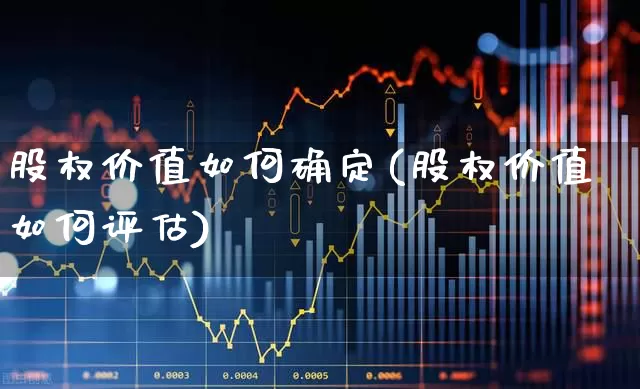 股权价值如何确定(股权价值如何评估)_https://www.haiwangdasha.com_科创板_第1张