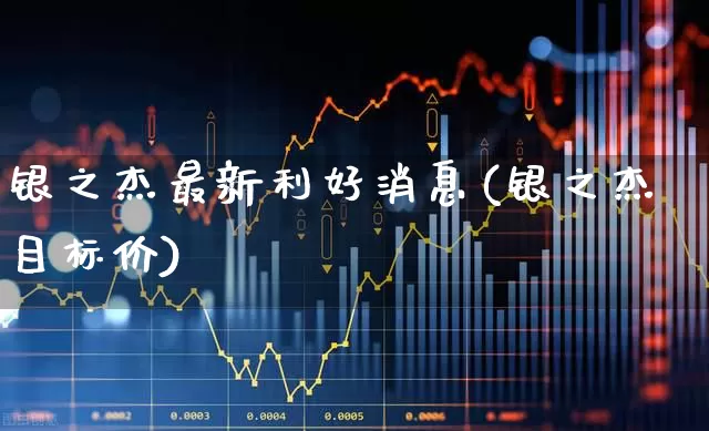 银之杰最新利好消息(银之杰目标价)_https://www.haiwangdasha.com_上交所_第1张