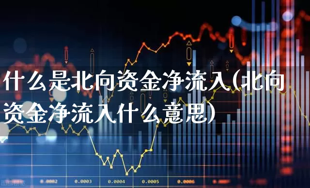 什么是北向资金净流入(北向资金净流入什么意思)_https://www.haiwangdasha.com_上交所_第1张