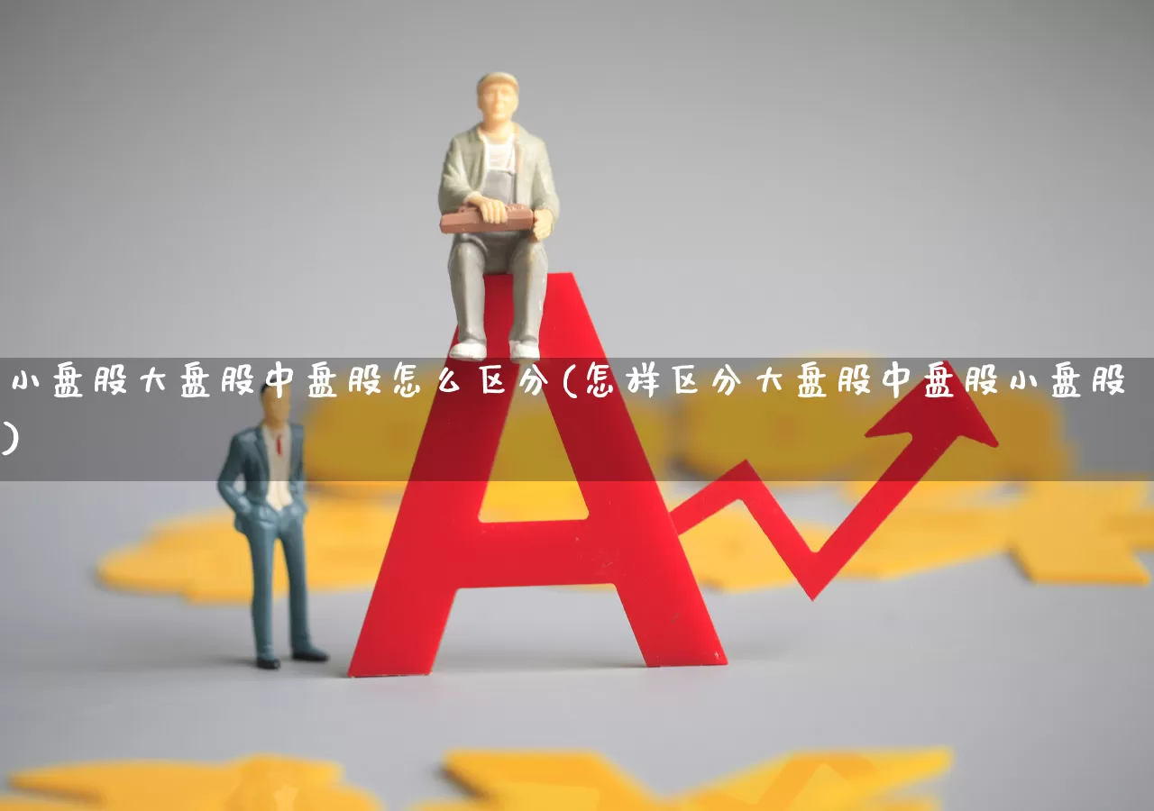 小盘股大盘股中盘股怎么区分(怎样区分大盘股中盘股小盘股)_https://www.haiwangdasha.com_北交所_第1张