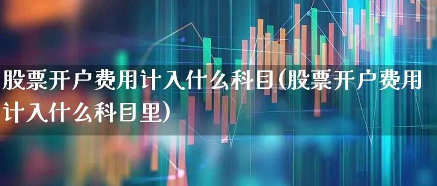 股票开户费用计入什么科目(股票开户费用计入什么科目里)_https://www.haiwangdasha.com_北交所_第1张