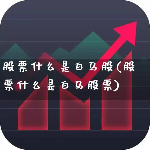 股票什么是白马股(股票什么是白马股票)_https://www.haiwangdasha.com_上交所_第1张