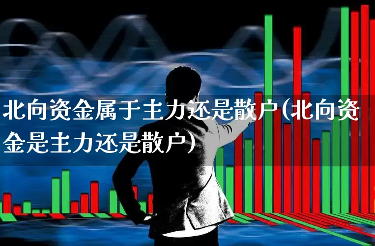 北向资金属于主力还是散户(北向资金是主力还是散户)_https://www.haiwangdasha.com_深交所_第1张