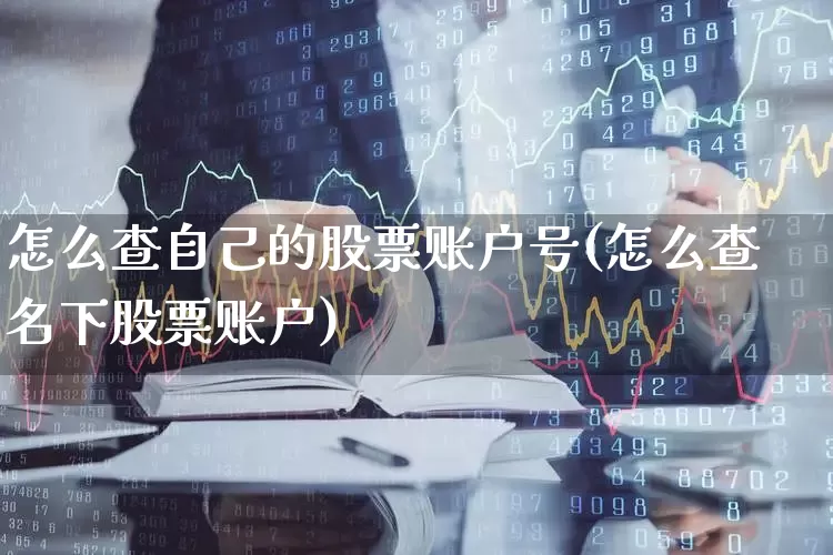 怎么查自己的股票账户号(怎么查名下股票账户)_https://www.haiwangdasha.com_科创板_第1张