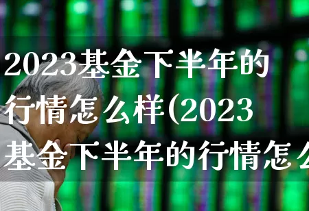 2023基金下半年的行情怎么样(2023基金下半年的行情怎么样现在还能买吗?)_https://www.haiwangdasha.com_创业板_第1张
