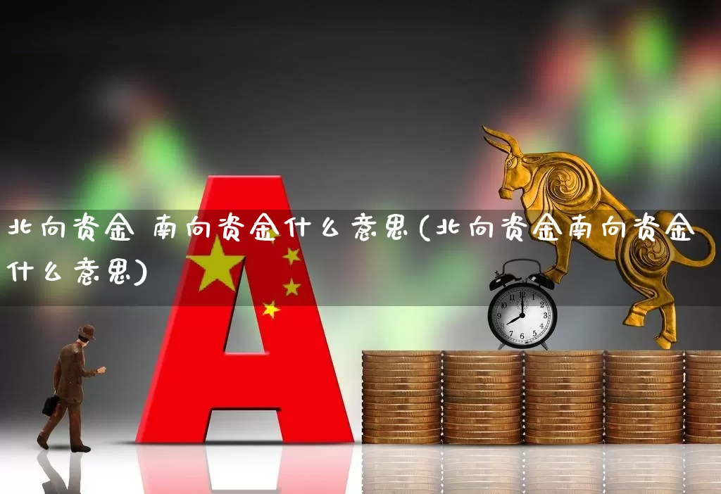 北向资金 南向资金什么意思(北向资金南向资金什么意思)_https://www.haiwangdasha.com_北交所_第1张