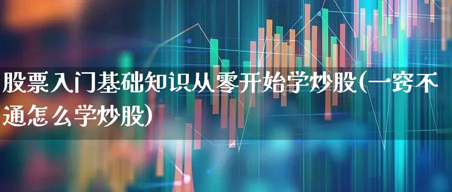 股票入门基础知识从零开始学炒股(一窍不通怎么学炒股)_https://www.haiwangdasha.com_科创板_第1张